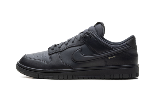 Dunk Low Gore-Tex "Triple Black" HQ2053 001