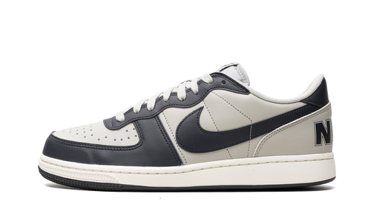 Terminator Low "Georgetown" FN6830 001