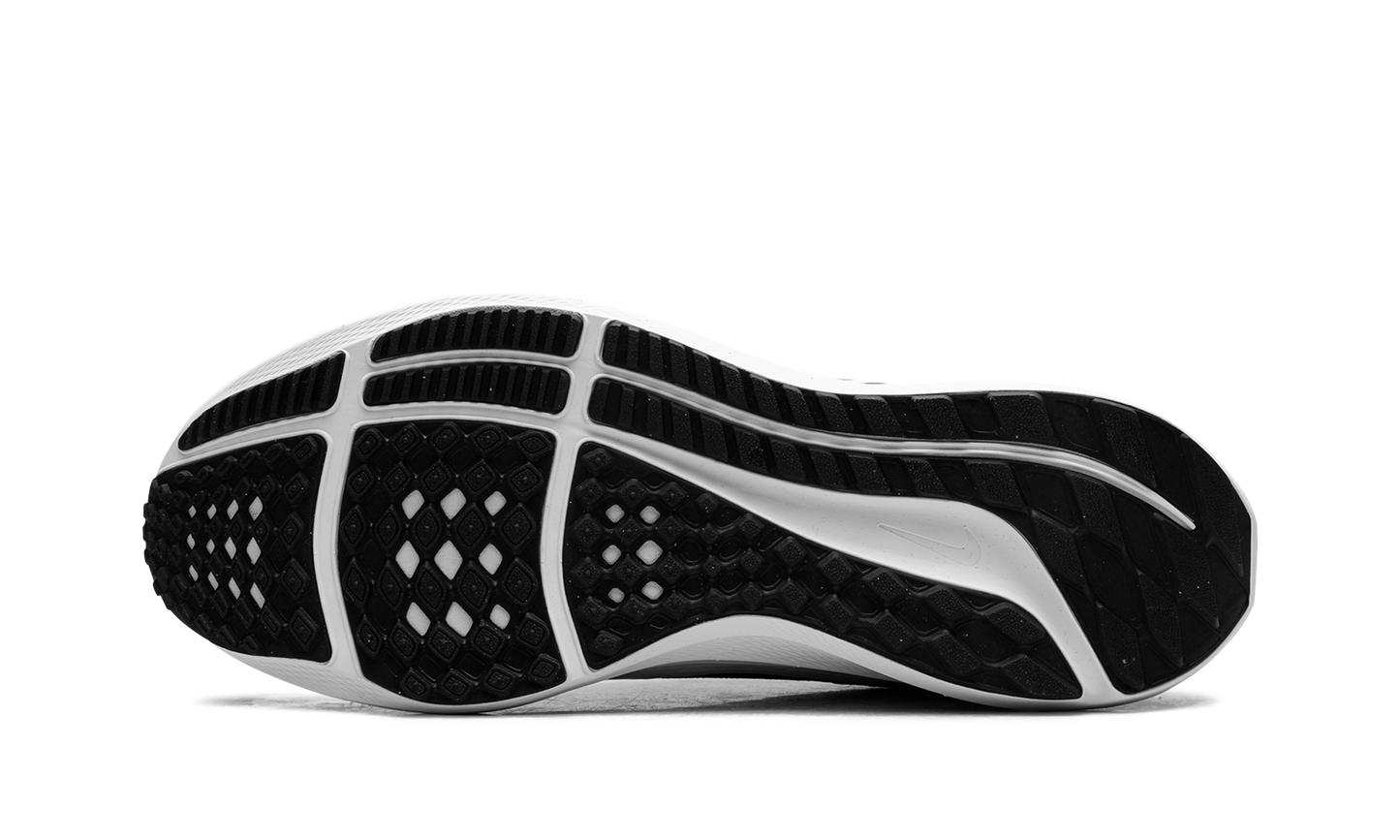 Air Zoom Pegasus 40 "Black White" DV3853 001