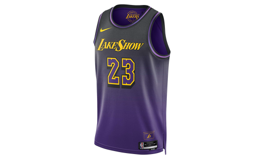 NBA LEBRON JAMES LOS ANGELES LAKERS 2024/25 CITY EDITION SWINGMAN JERSEY "Field Purple" FQ4346 504